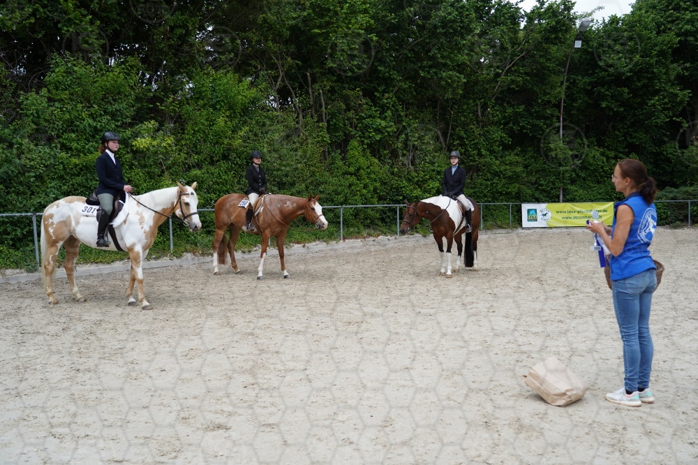 s_A7_08723.jpg